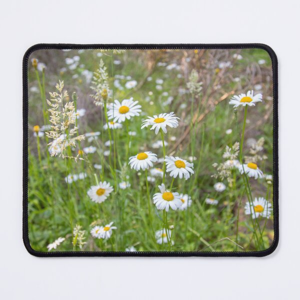 Item preview, Wild Forest Daisies designed and sold by Ernie Steven Dickey.