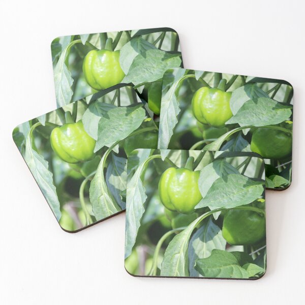 Item preview, Green Bell Peppers designed and sold by Cynthia48.