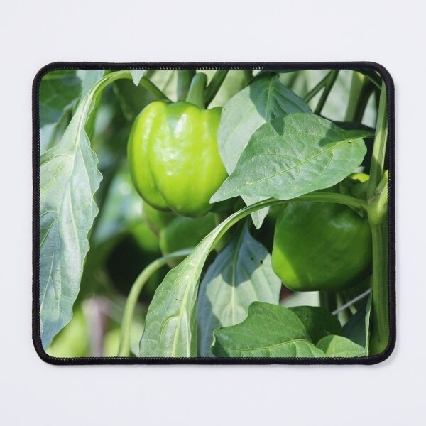 Item preview, Green Bell Peppers designed and sold by Cynthia48.
