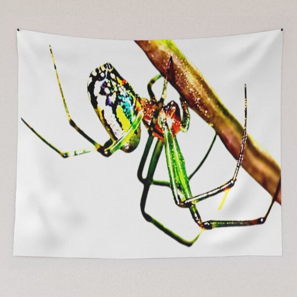 Item preview, Spider Design designed and sold by 3triadstore.