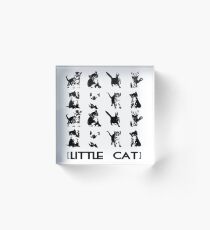 KITTENS Acrylic Block