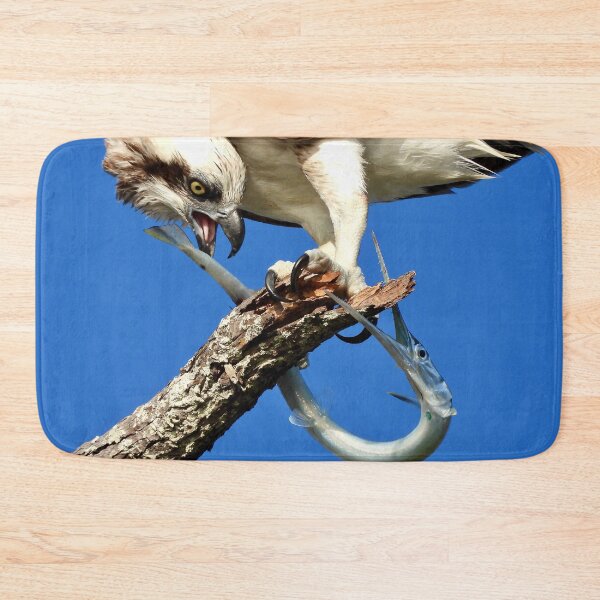 Item preview, Osprey with log tom fish for breakfast designed and sold by Mark Grimsley.