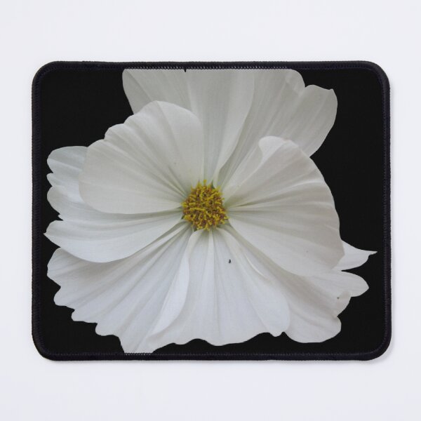 Item preview, White flower black background designed and sold by Lauracolleen3.