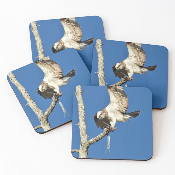 Item preview, Osprey wings out with Long Tom designed and sold by Mark Grimsley.