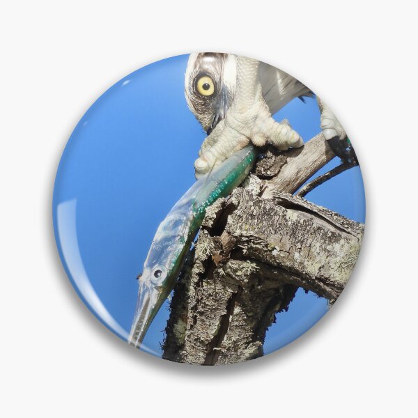 Artikelvorschau, Osprey Long Tom Frühstück entworfen und verkauft von Mark Grimsley.