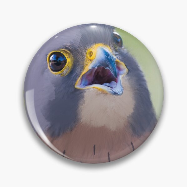 Item preview, Falco milvus designed and sold by OxeLiveHappier.