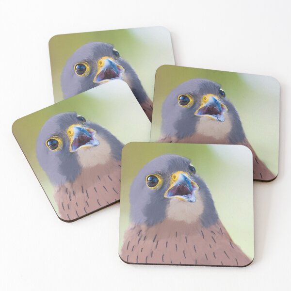 Item preview, Falco milvus designed and sold by OxeLiveHappier.