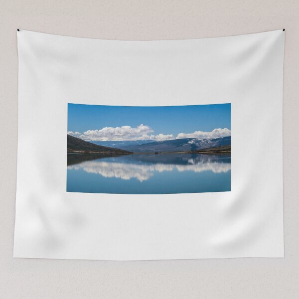 Item preview, Ideal Reflection designed and sold by Alla Gill.