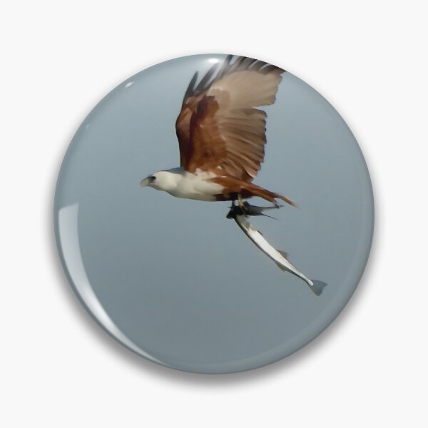Item preview, Brahminy Kite with Long Tom breakfast designed and sold by Mark Grimsley.