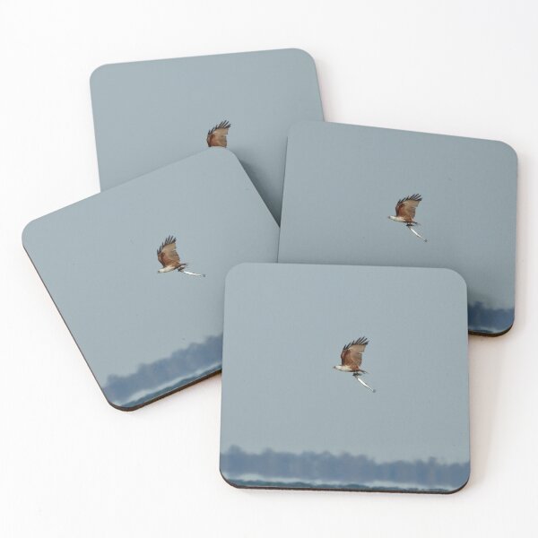 Item preview, Brahminy Kite with Long Tom breakfast designed and sold by Mark Grimsley.