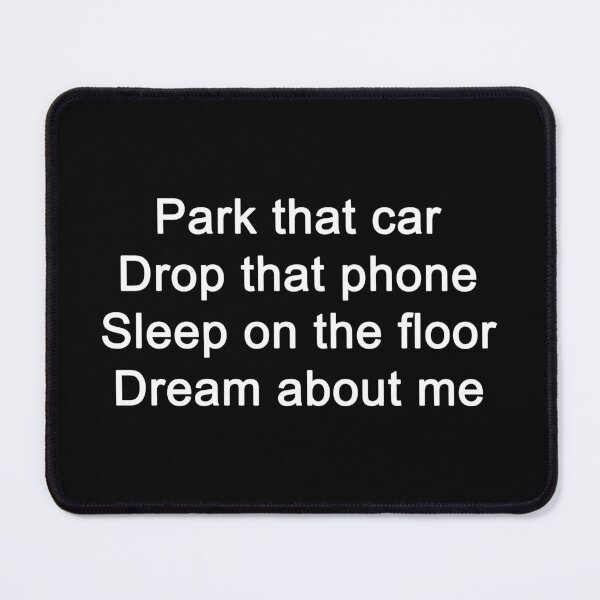 Item preview, Anthems for a 17 Year‐Old Girl Lyrics (Dream about me) designed and sold by -interstellar-.