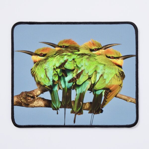 Item preview, Rainbow Bee-eaters, 4 this time designed and sold by Mark Grimsley.