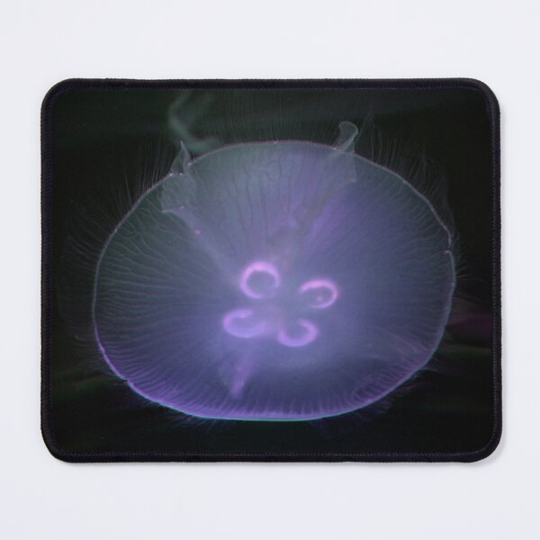 Item preview, Jellyfish designed and sold by Savannah Gibbs.