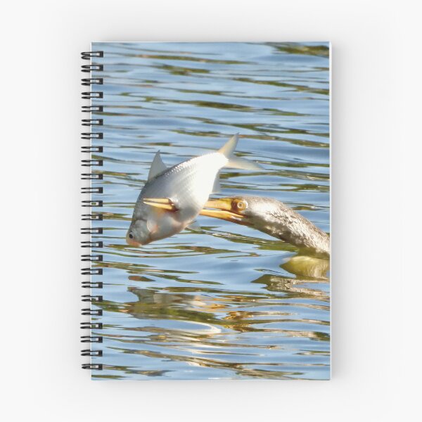 Item preview, Spear fishing Australasian Darter designed and sold by Mark Grimsley.