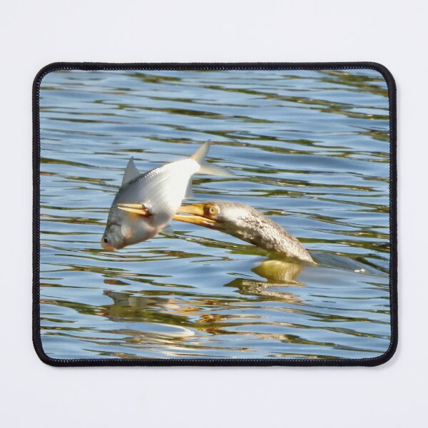 Item preview, Spear fishing Australasian Darter designed and sold by Mark Grimsley.