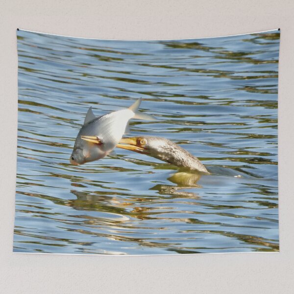 Item preview, Spear fishing Australasian Darter designed and sold by Mark Grimsley.