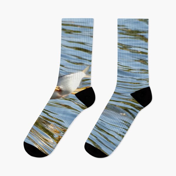 Item preview, Spear fishing Australasian Darter designed and sold by Mark Grimsley.