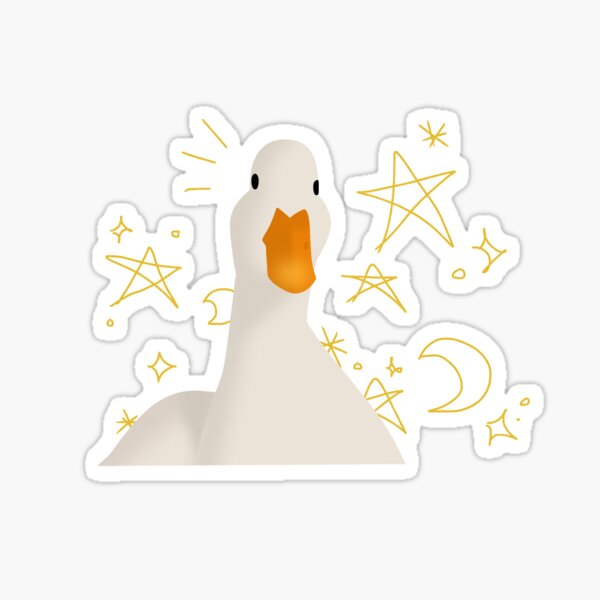 Aperçu de l'œuvre Canard étoilé Doodle créée et vendue par Paws & Prints.