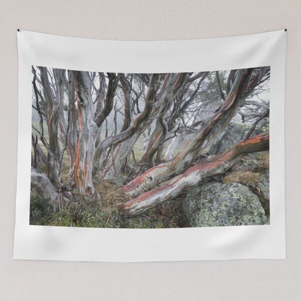 Item preview, Snow  Gums designed and sold by sapics.