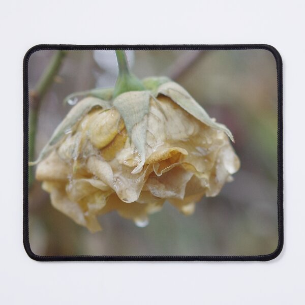 Item preview, Spent designed and sold by Penny Kittel.