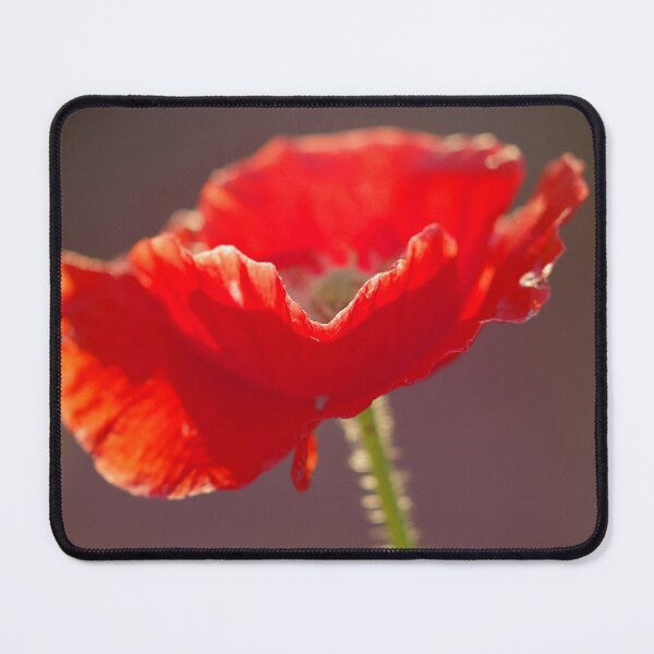 Item preview, Red Poppy designed and sold by Penny Kittel.