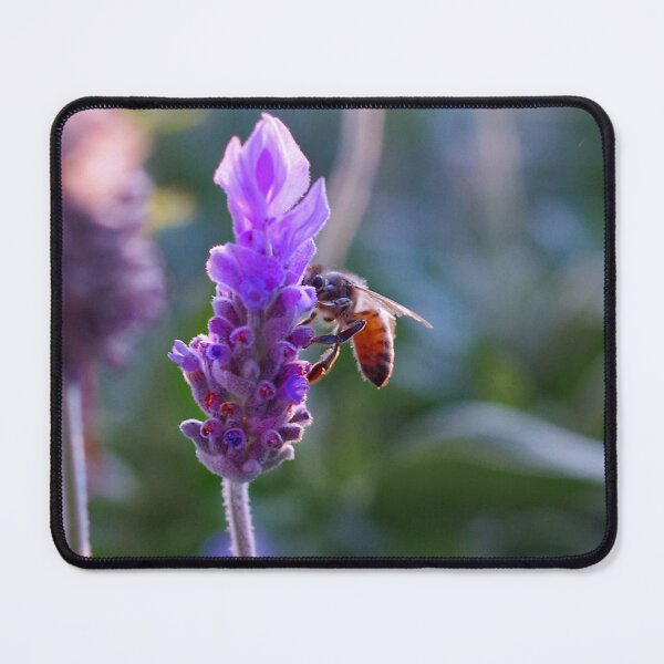 Item preview, Smelling-bee designed and sold by Penny Kittel.