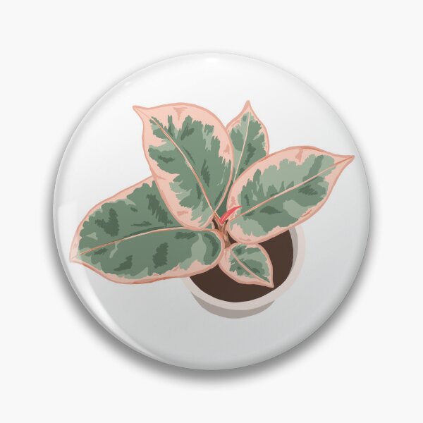 Item preview, Red Ruby Ficus Houseplant Drawing designed and sold by chicksdoings.
