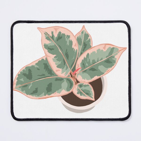 Item preview, Red Ruby Ficus Houseplant Drawing designed and sold by chicksdoings.