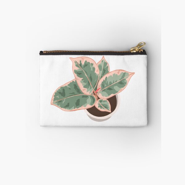 Item preview, Red Ruby Ficus Houseplant Drawing designed and sold by chicksdoings.