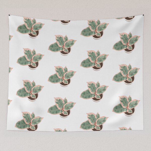 Item preview, Red Ruby Ficus Houseplant Drawing designed and sold by chicksdoings.