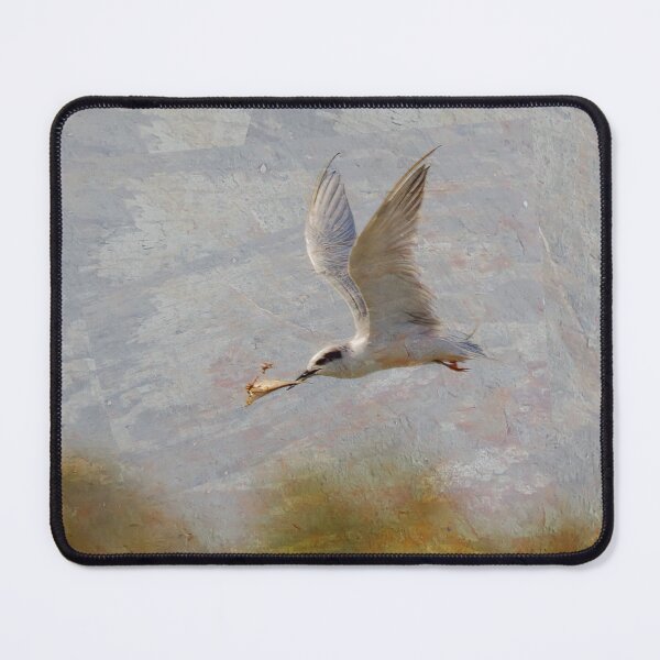 Item preview, Tern Flying With Fish designed and sold by CarolM.