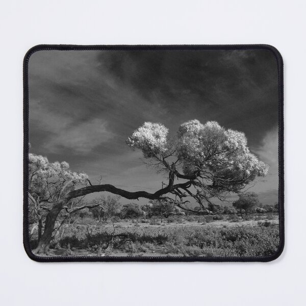 Item preview, Windswept Myall designed and sold by Penny Kittel.