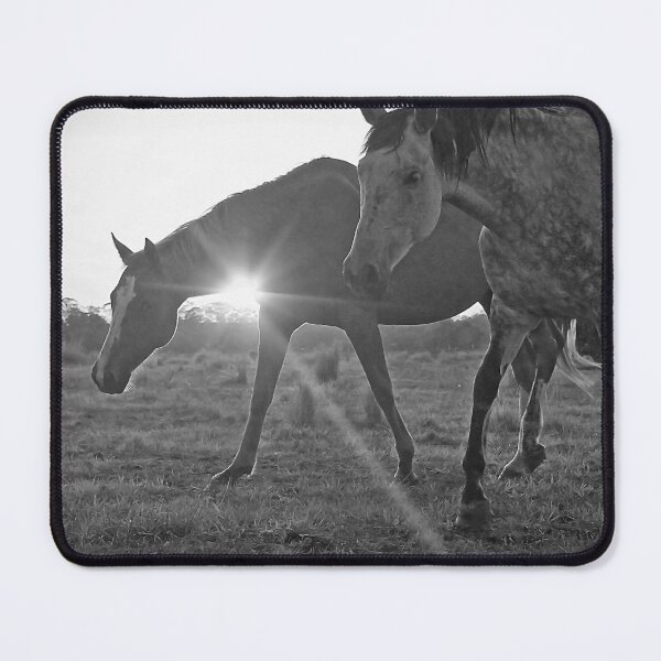 Item preview, Shining Mares designed and sold by Penny Kittel.