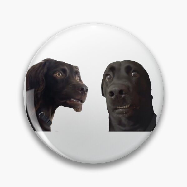 Item preview, Awkwardly Staring Dog Meme designed and sold by coloradocreates.