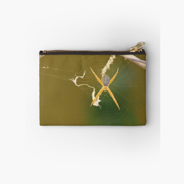 Item preview, Itsy Bitsy Spider on a Cactus Spine designed and sold by Siene Browne.