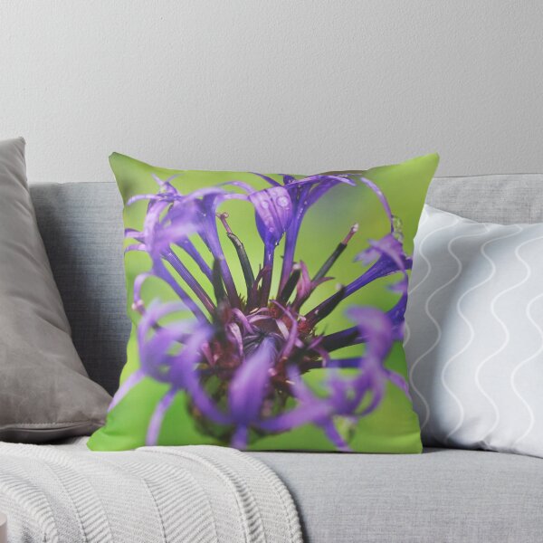 Item preview, Round-headed rampion blooming designed and sold by riku05830.