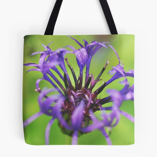 Item preview, Round-headed rampion blooming designed and sold by riku05830.