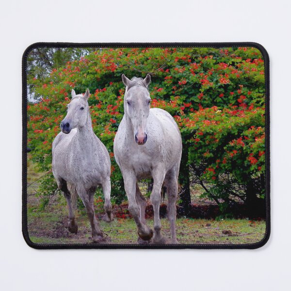Item preview, Flora Greys designed and sold by Penny Kittel.