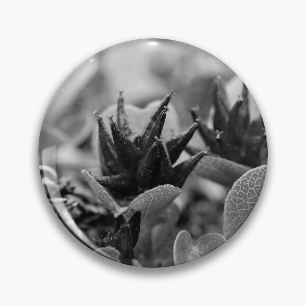 Item preview, The shortest tree. Dwarf  Willow bw designed and sold by Jouko Lehto Photography.
