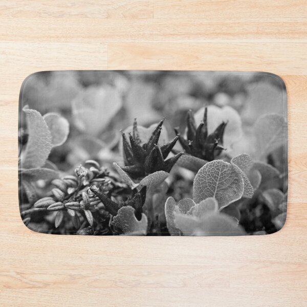 Item preview, The shortest tree. Dwarf  Willow bw designed and sold by Jouko Lehto Photography.