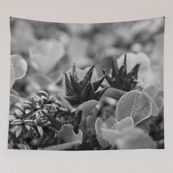 Item preview, The shortest tree. Dwarf  Willow bw designed and sold by Jouko Lehto Photography.