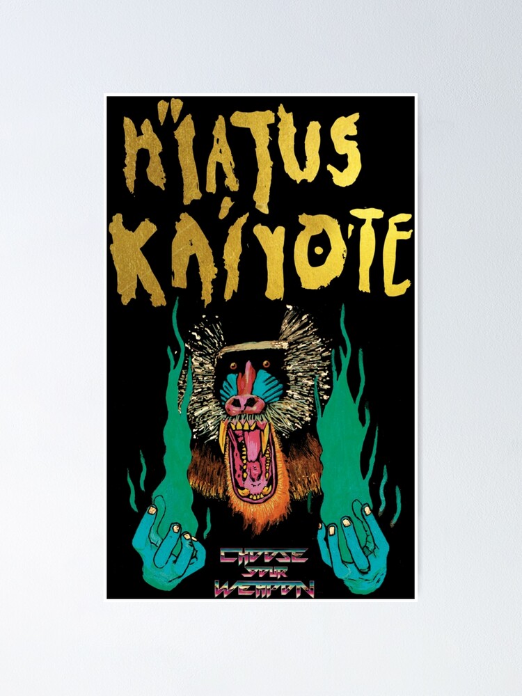 買得 HIATUS KAIYOTE BAND ミュージシャン
