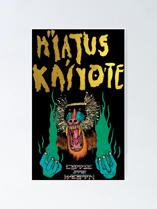 Hiatus Kaiyote Poster - Etsy Canada