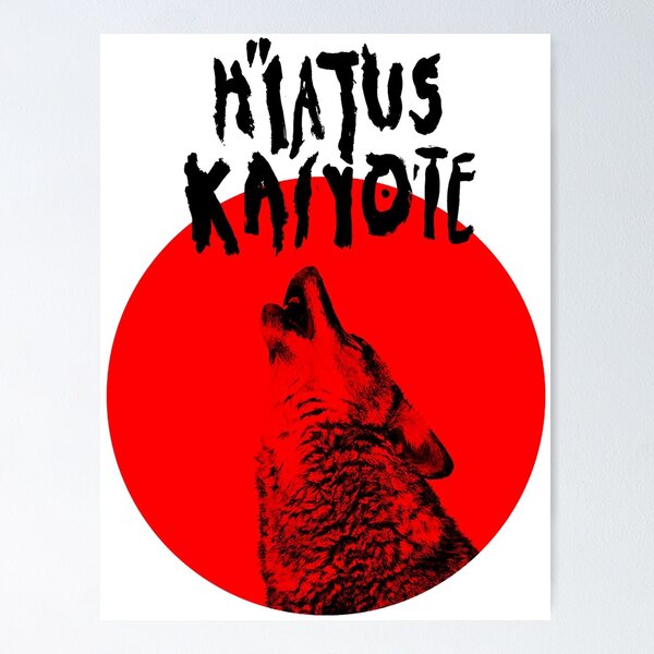 HIATUS KAIYOTE BAND