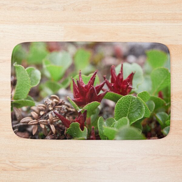 Item preview, The shortest tree. Dwarf  Willow designed and sold by Jouko Lehto Photography.