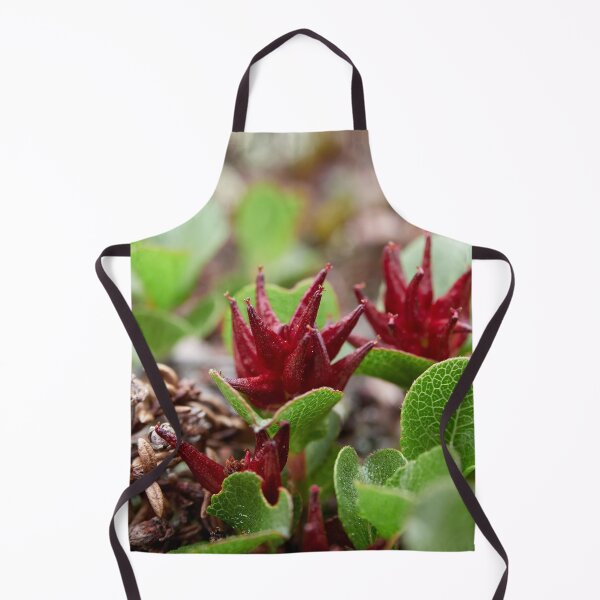Item preview, The shortest tree. Dwarf  Willow designed and sold by Jouko Lehto Photography.