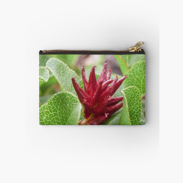 Item preview, Proud to be small. Dwarf  Willow designed and sold by Jouko Lehto Photography.