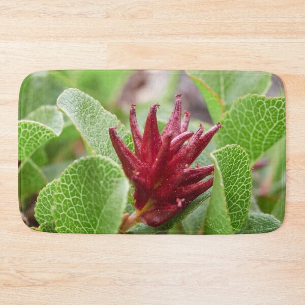 Item preview, Proud to be small. Dwarf  Willow designed and sold by Jouko Lehto Photography.