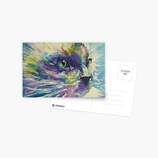 cats whiskers Postcard