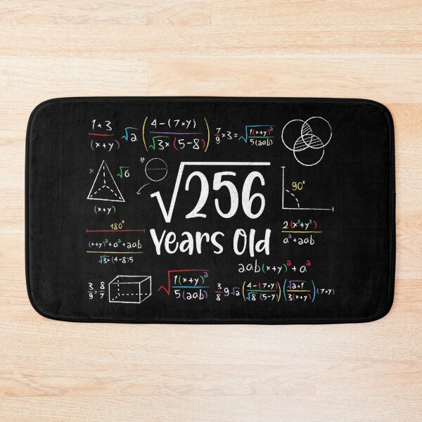 Item preview, Square Root of 256 16th Birthday 16 Year Old Gifts Math Bday designed and sold by Blok45.
